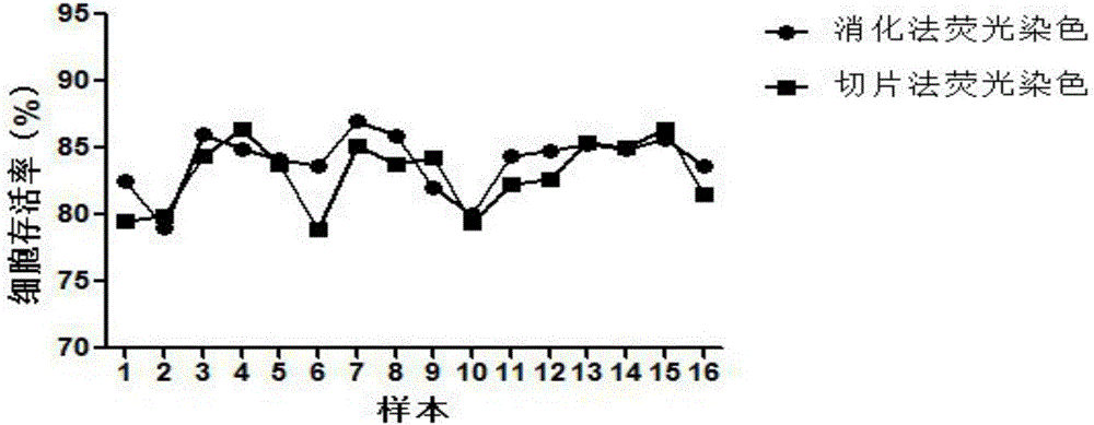 Cartilage tissue cell viability assaying method