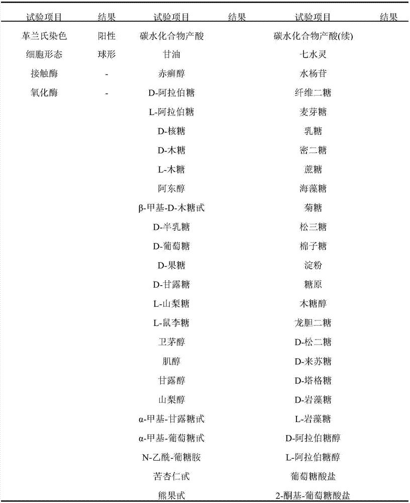 Streptococcus salivarius strain and application thereof