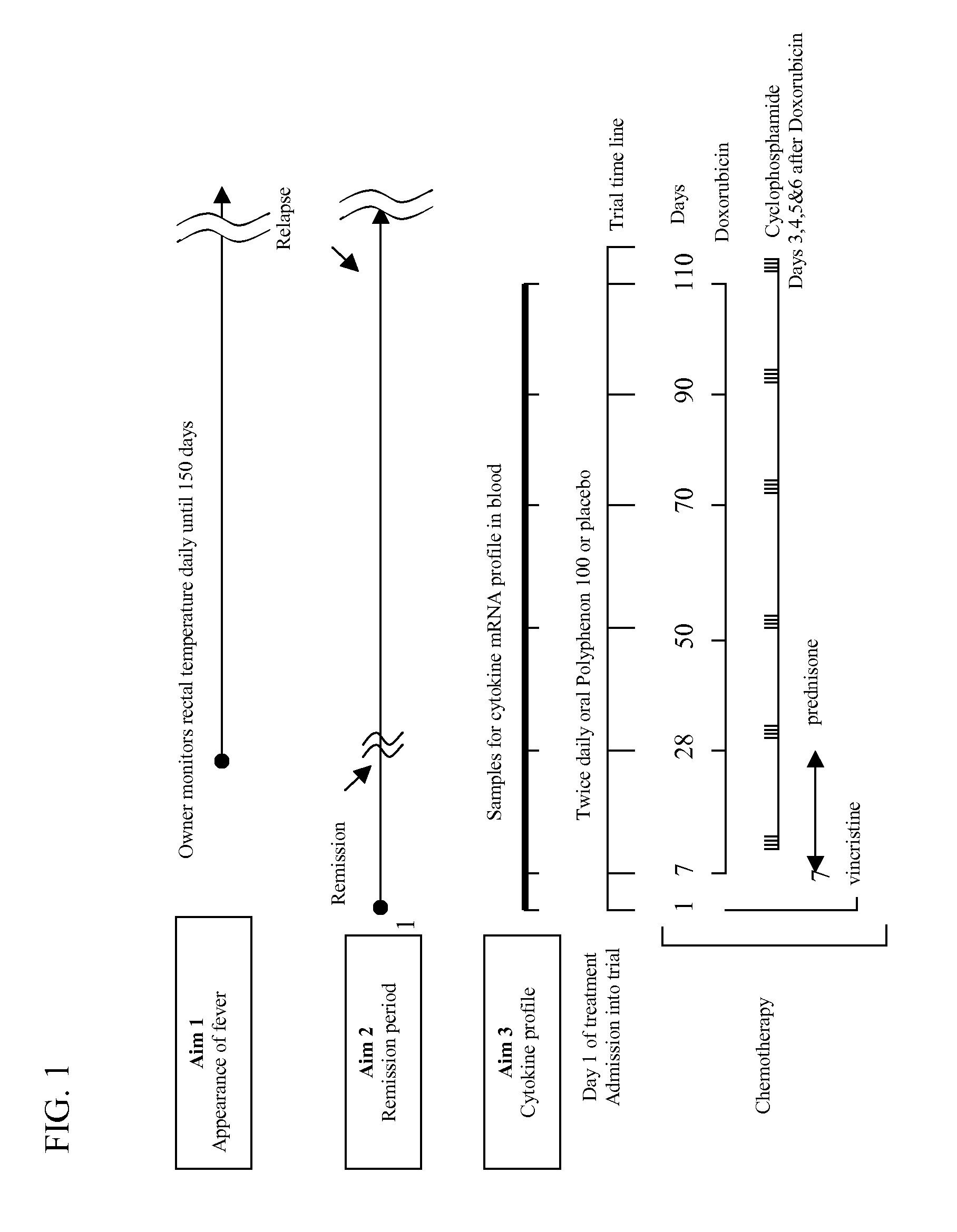 Catechin Adjuvants