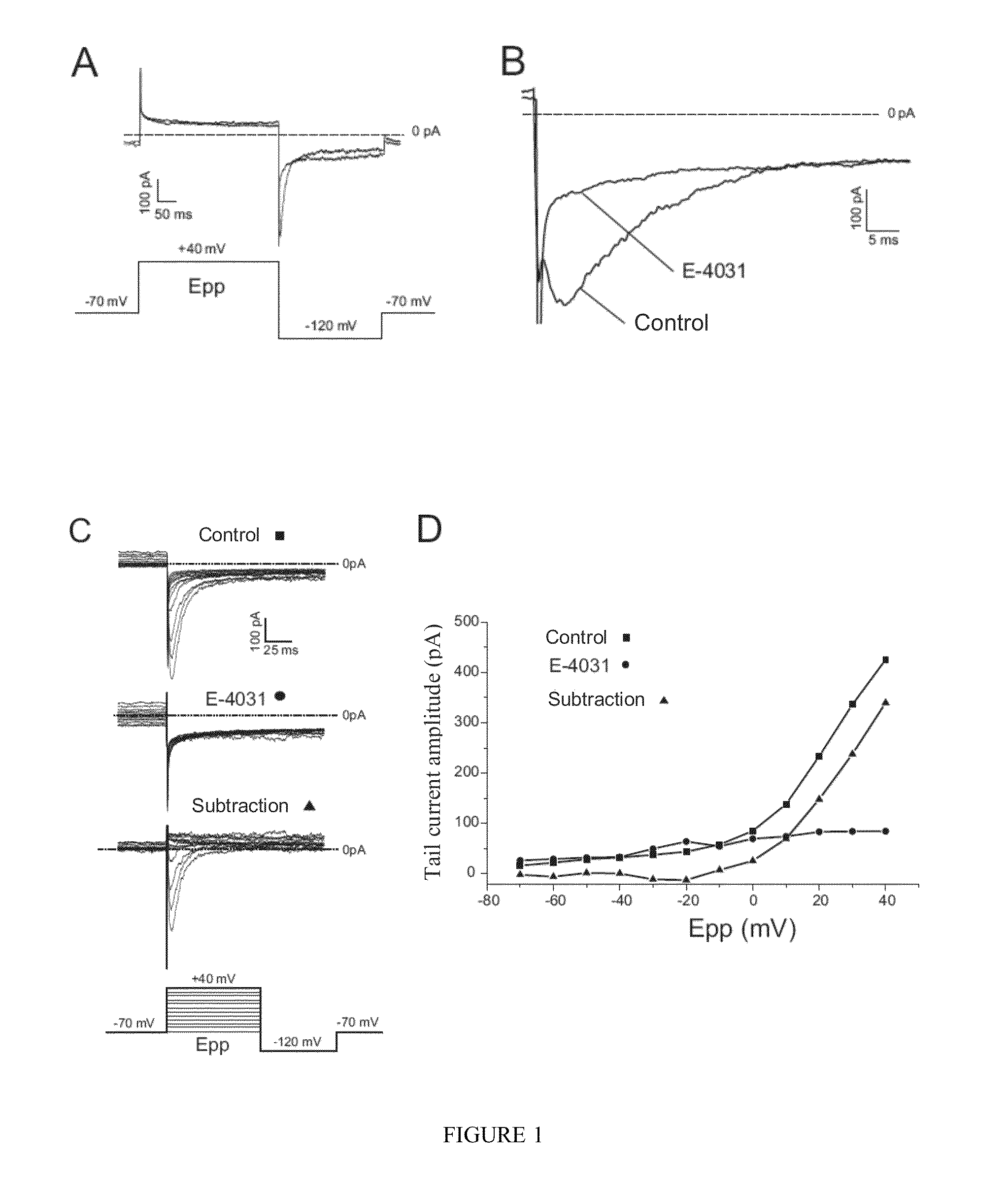 INHIBITORS OF THE INTERACTION OF THE SIGMA-1 RECEPTOR WITH hERG FOR USE IN THE TREATMENT OF CANCER