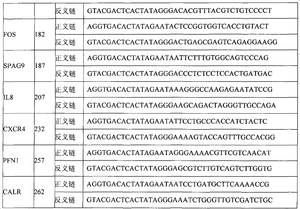 Diagnosis model and diagnosis kit for peripheral blood gene of liver cancer