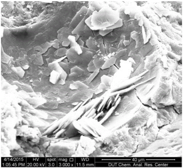 Compound mortar with compound addition of carbon fibers and nano-silica and preparation technology and application thereof