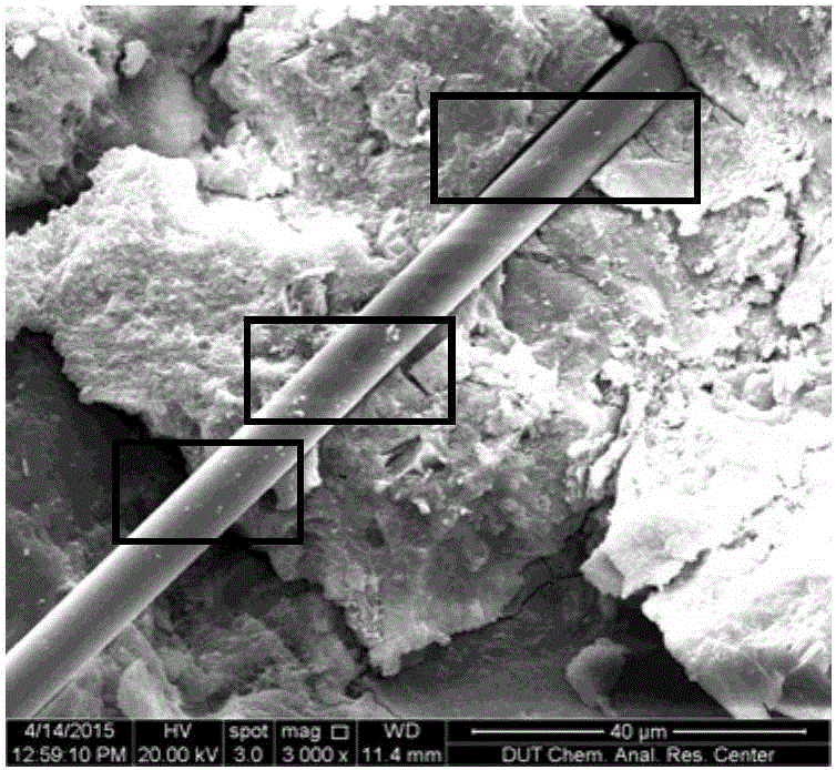 Compound mortar with compound addition of carbon fibers and nano-silica and preparation technology and application thereof