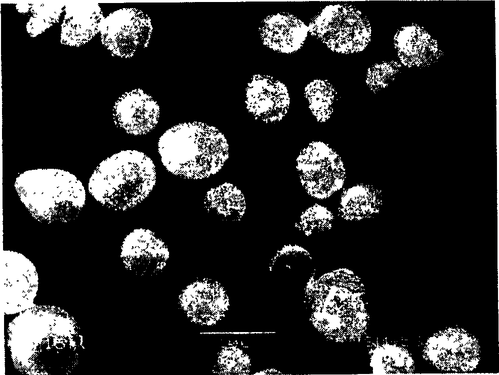 Aluminium/yttrium zirconium tertiary composite oxide nano structure aggregate powder and its producing method