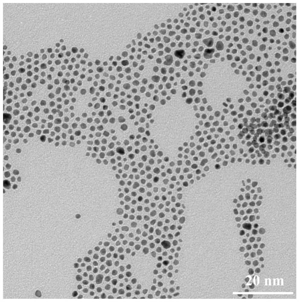 Preparation method, product and application of antiferromagnetic nanoparticle biological imaging probe