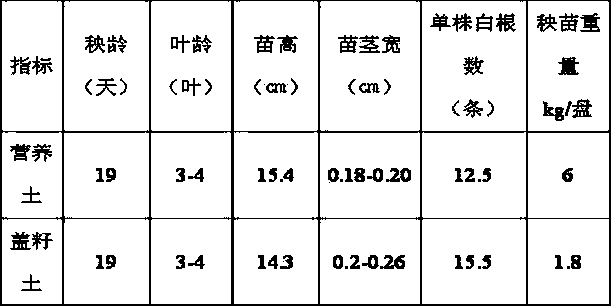 Rice seedling raising seed covering soil and preparation method thereof