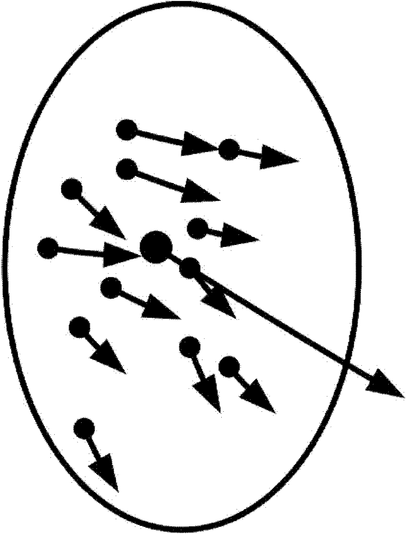 Method of Tracking Morphing Gesture Based on Video Stream