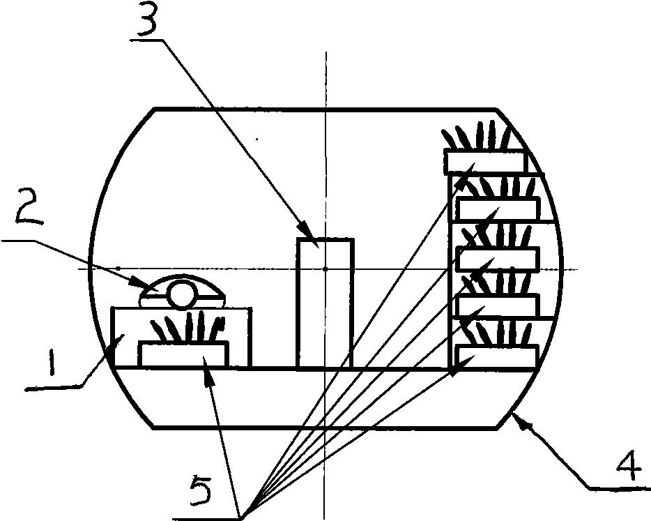 Life-information energy-collecting method and application thereof