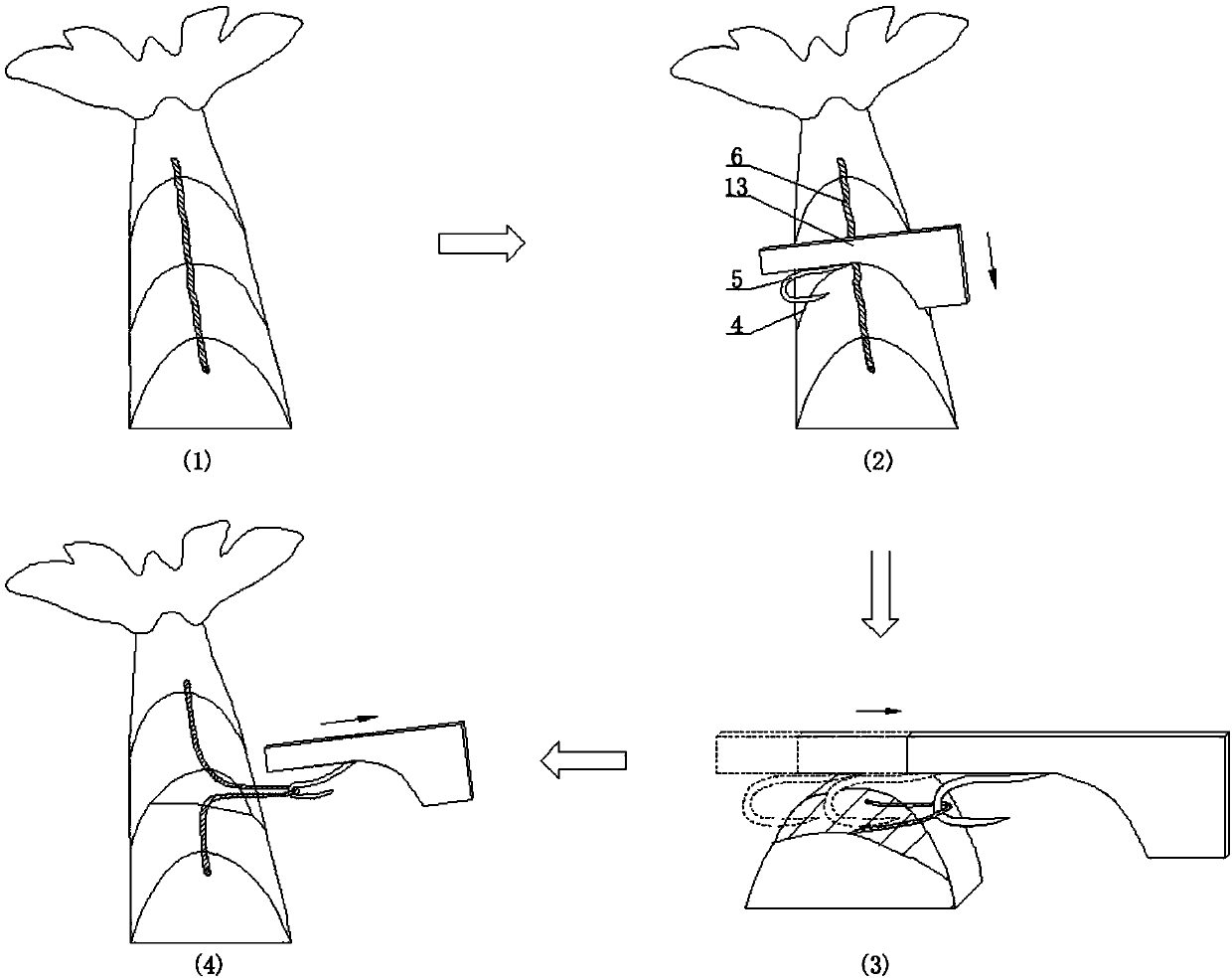 Device and method for automatically removing shrimp lines