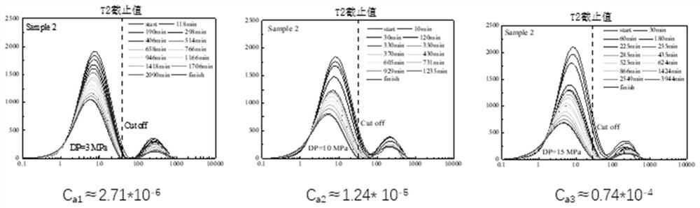 Method for improving recovery ratio through nuclear magnetism online tight oil-water flooding development