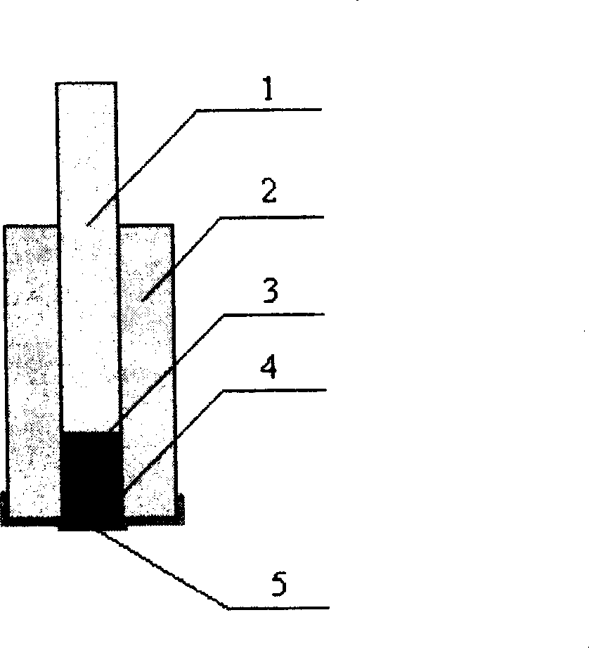 Polypyrrole-PVC membrane decorative taste sensor array and detecting method