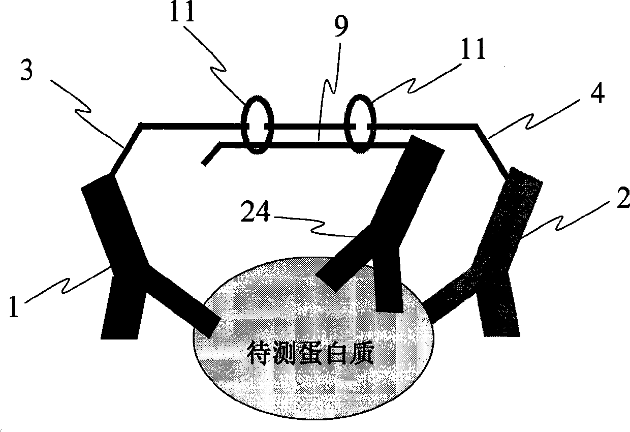 Method for detecting protein content difference