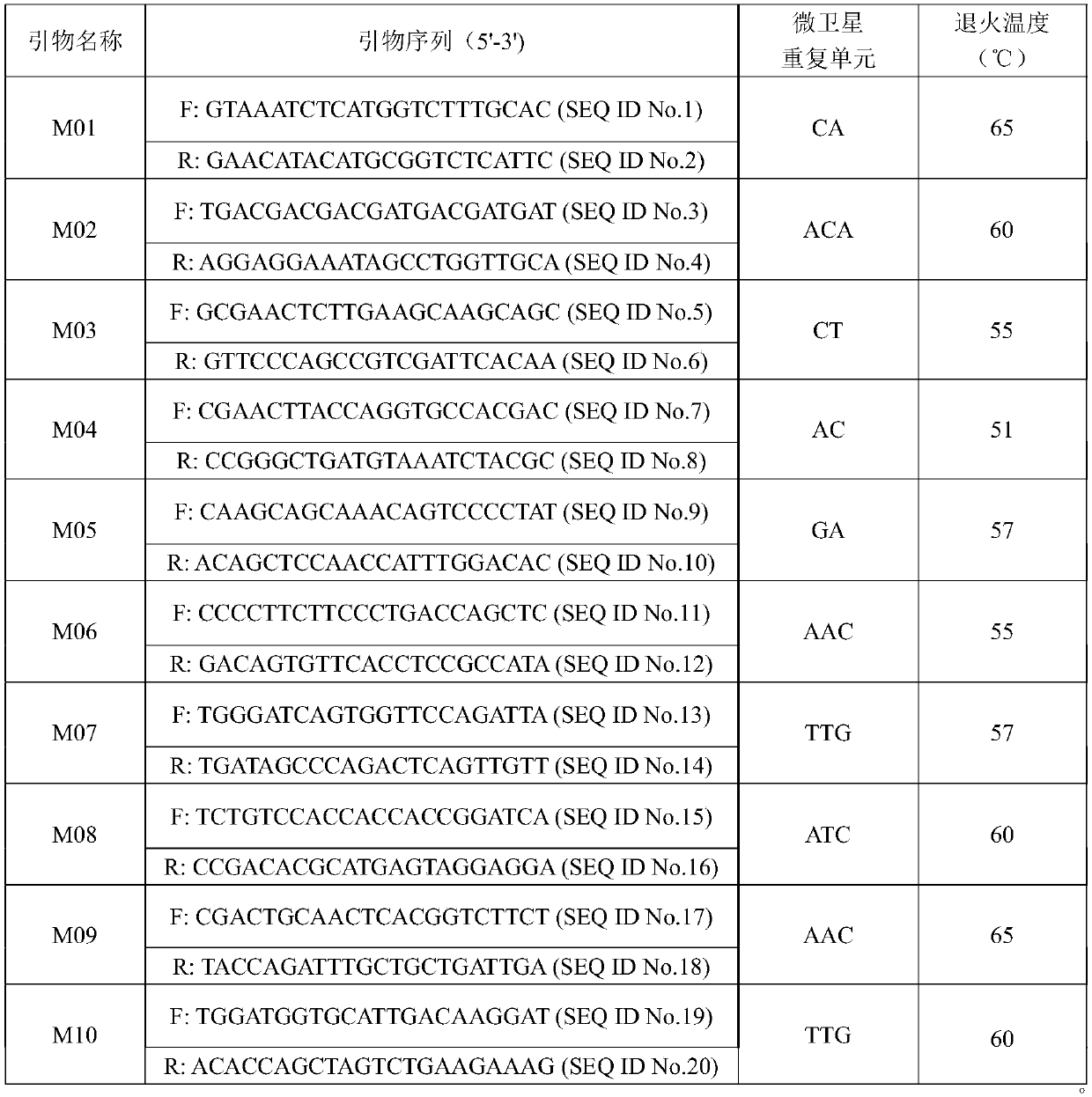 Avena L. DNA (deoxyribonucleic acid) molecular fingerprint spectrum construction method and application