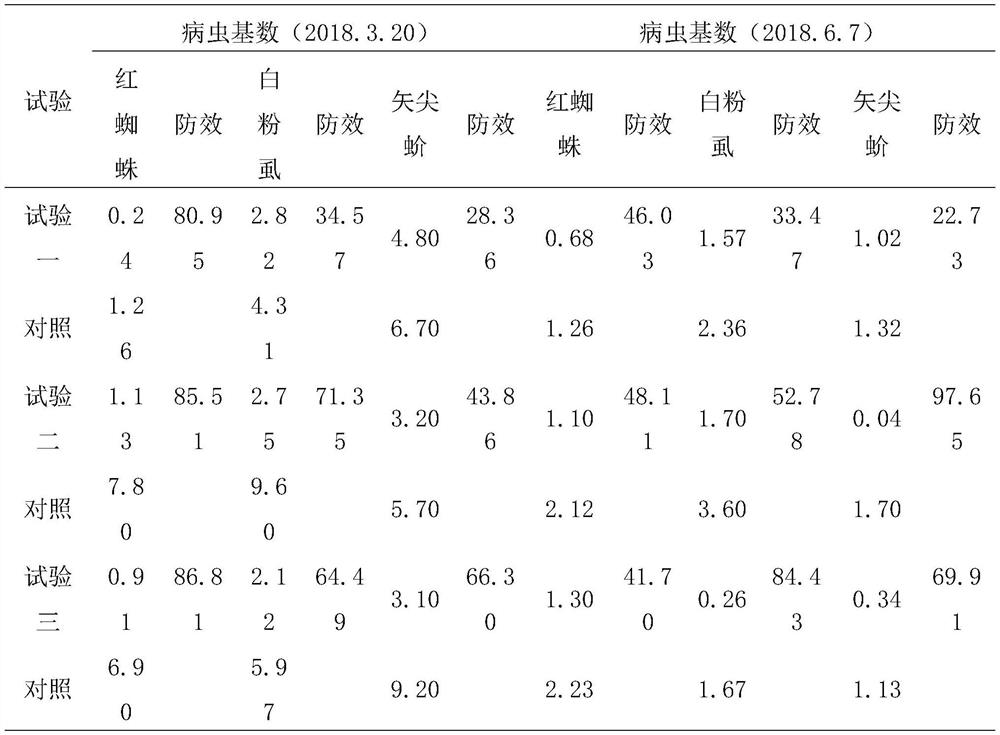 A method for preventing and controlling fruit tree diseases and insect pests of a new line of tarocaceae blood orange