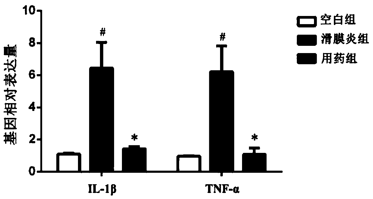 Traditional Chinese medicine composition for treating gonarthromeningitis and preparation method thereof