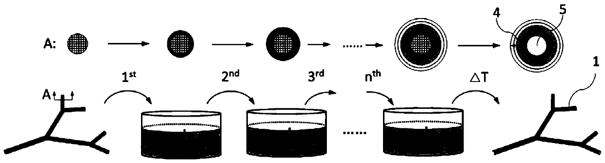 A kind of multi-layer hydrogel with hollow tube structure and its preparation method and application