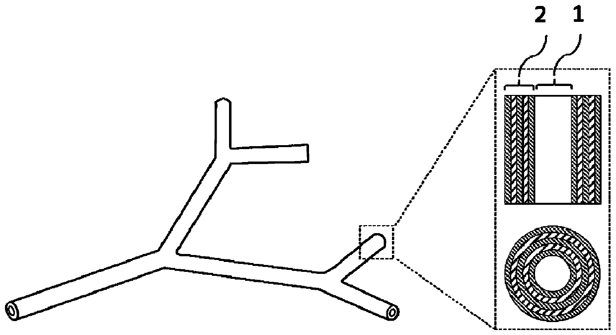 A kind of multi-layer hydrogel with hollow tube structure and its preparation method and application