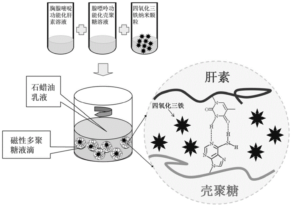 Magnetic polysaccharide nanometer gel material preparation method