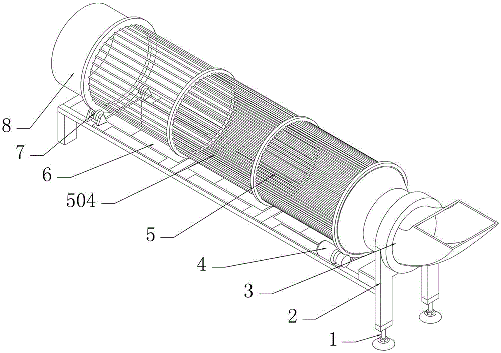 Classifying screening machine of stachys sieboldii