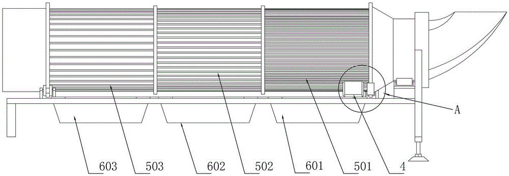 Classifying screening machine of stachys sieboldii