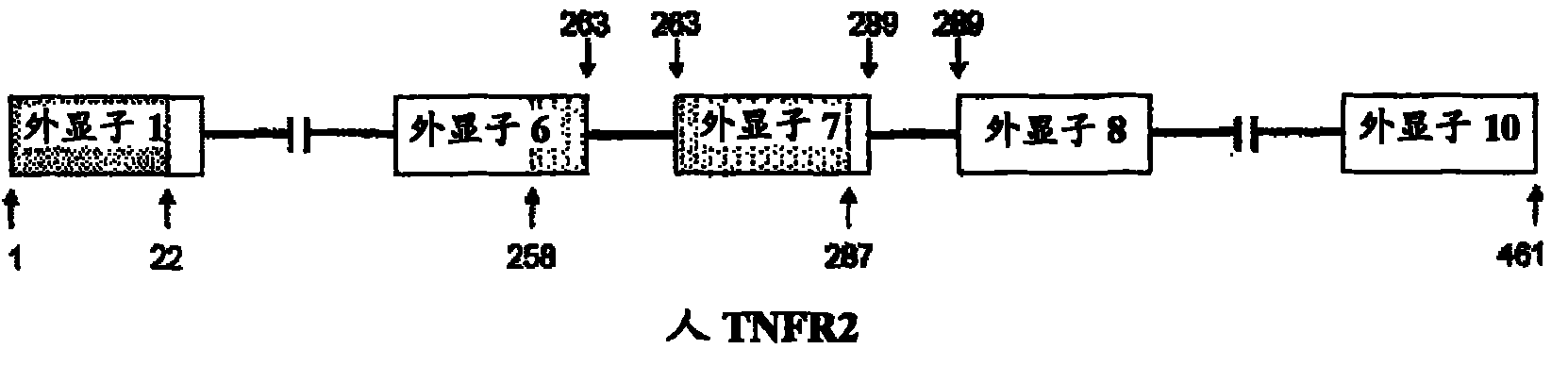 Splice switching oligomers for tnf superfamily receptors and their use in treatment of disease