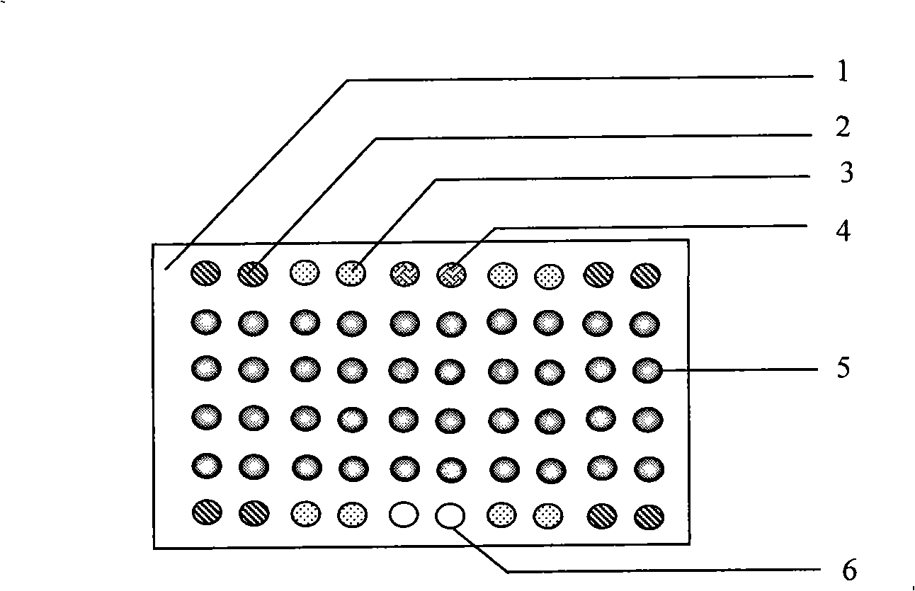 Pathogenic epiphyte detection gene chip