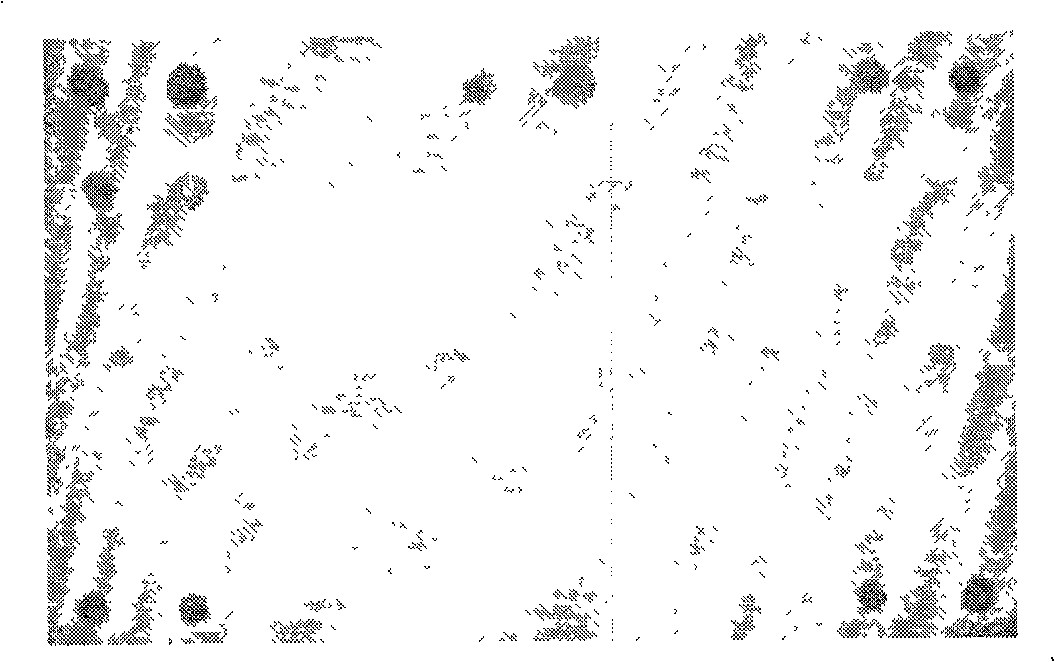 Pathogenic epiphyte detection gene chip