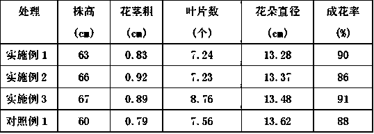 A kind of container soilless culture technology of peony