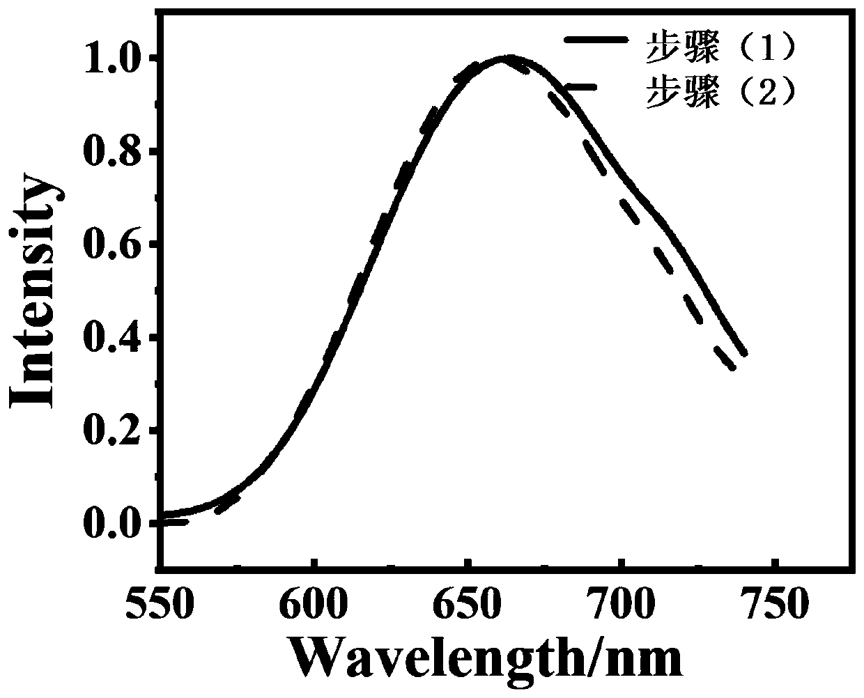 Stable fluorescent particle and preparation method thereof