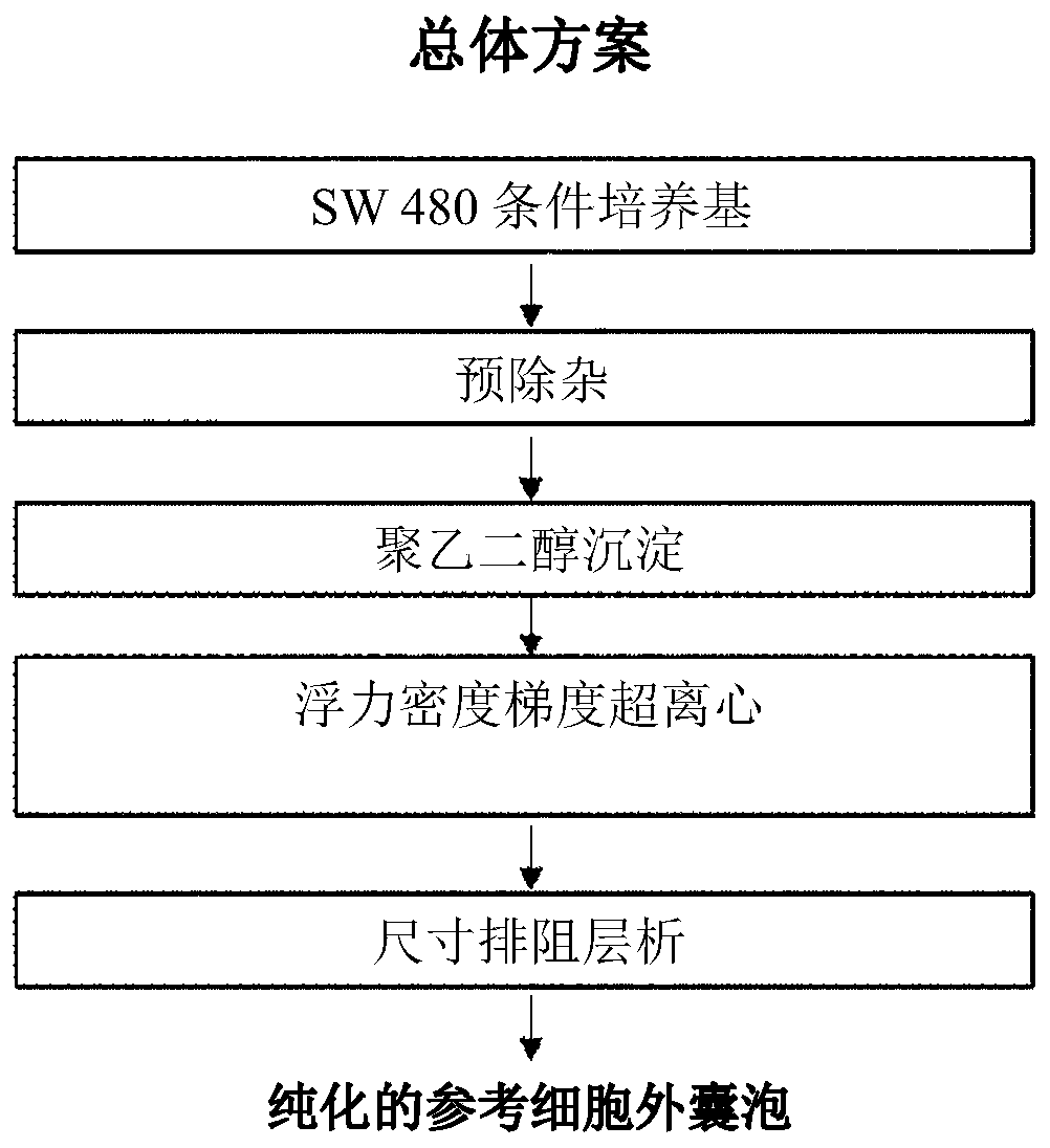 Method for isolating extracellular vesicle using hydrophobic interaction