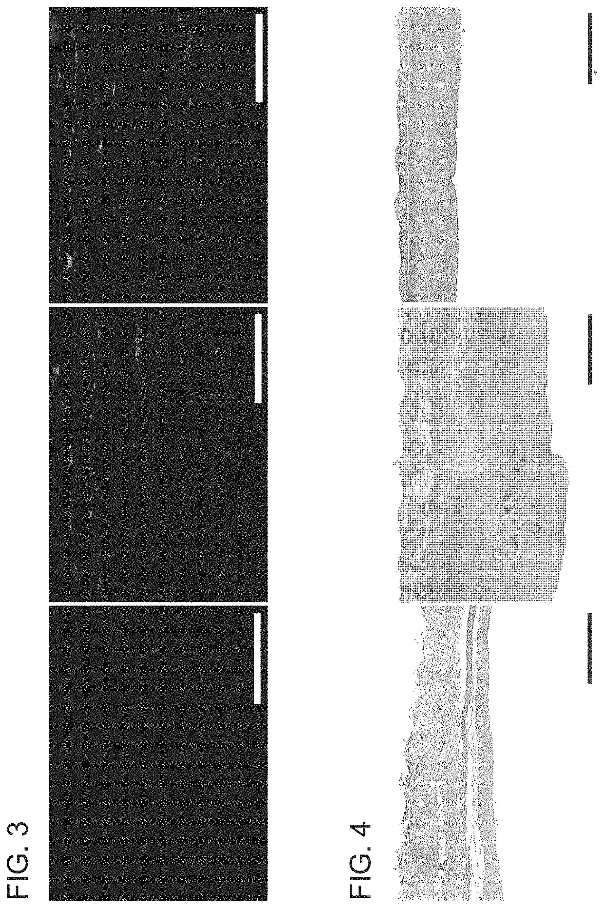 Methods for tissue passivation