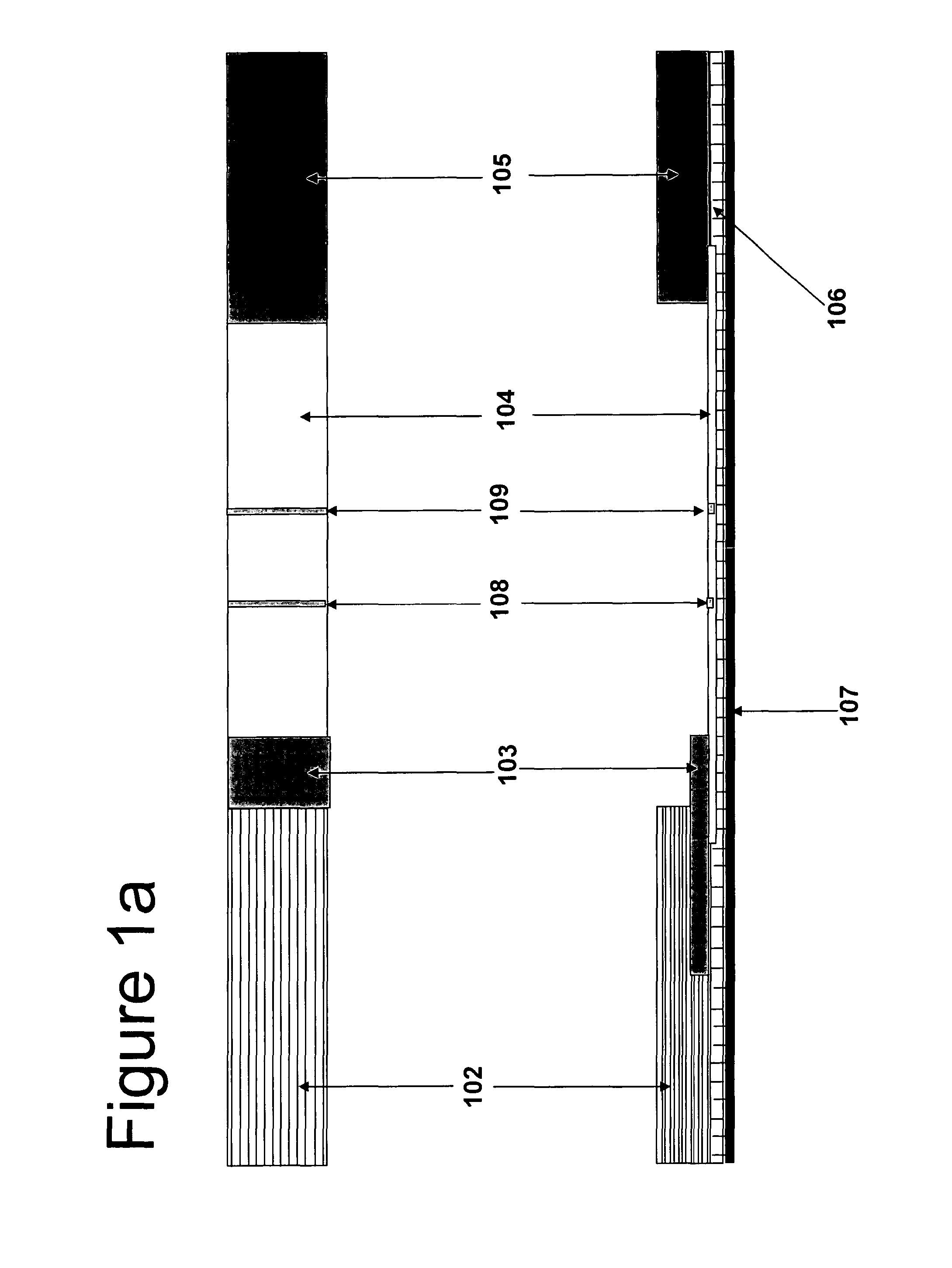 Rapid immunochromatographic detection by amplification of the colloidal gold signal