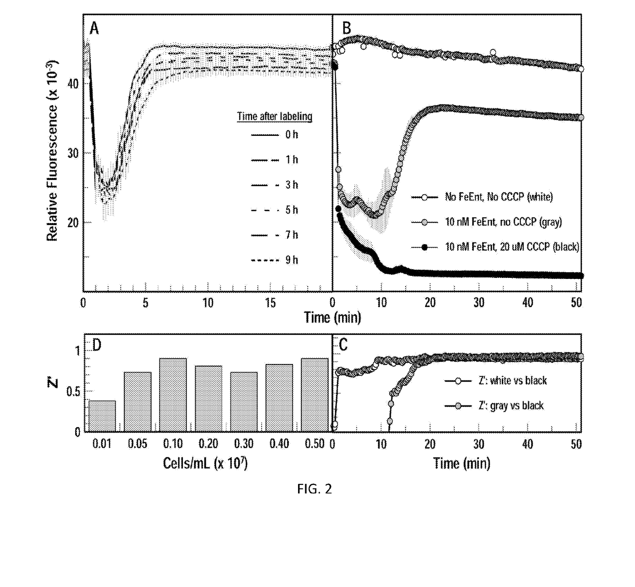 High-throughput fluorescent screening assay for inhibitors of gram-negative bacterial iron uptake