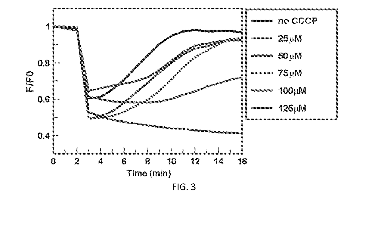 High-throughput fluorescent screening assay for inhibitors of gram-negative bacterial iron uptake