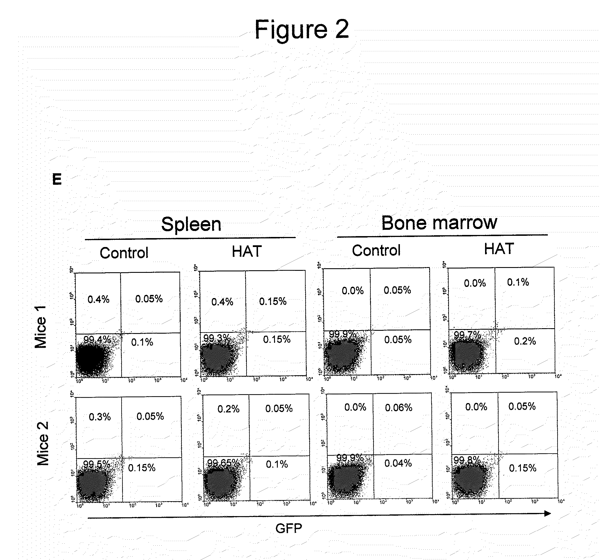 Method for the therapeutic correction of hemophilia a by transplanting bone marrow cells