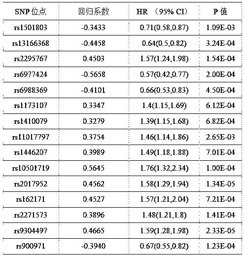 SNP marker composition related to brain radiation injury caused by radiotherapy and application thereof