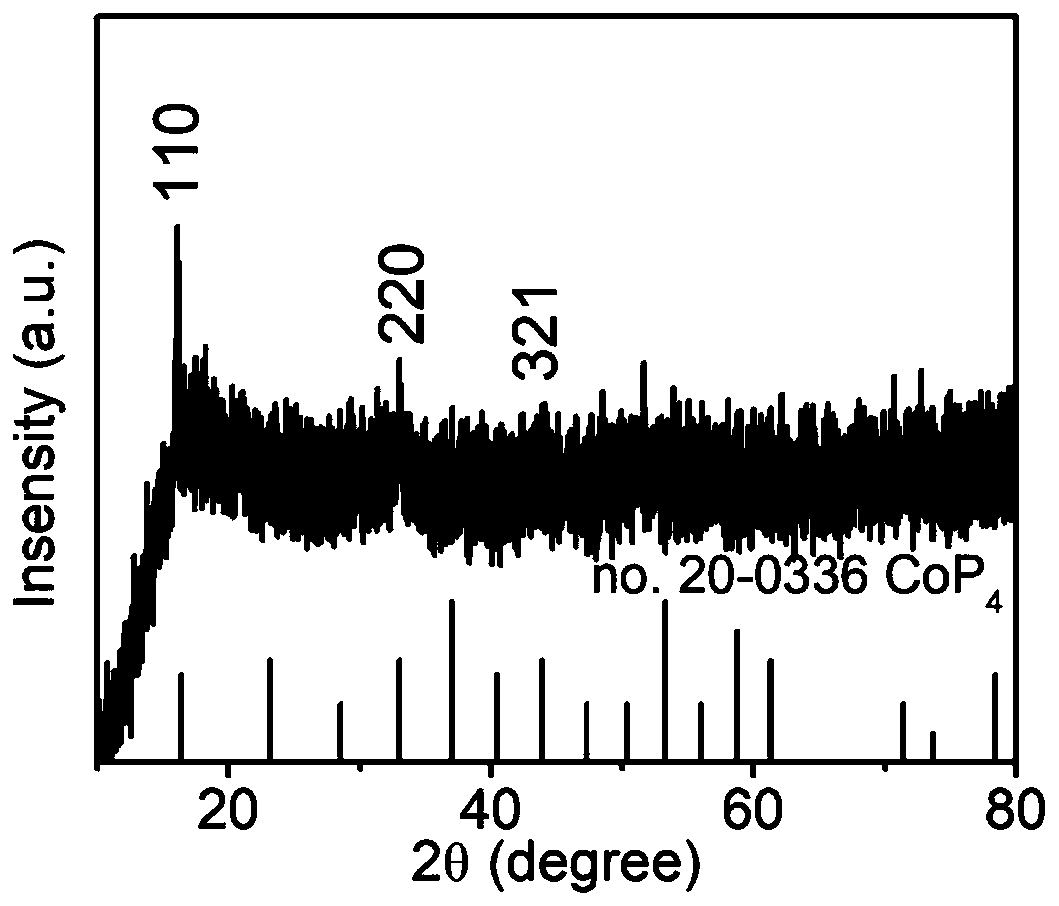 Porous nitrogen-doped graphene composite cobalt phosphide nanosheet and preparation method and application thereof