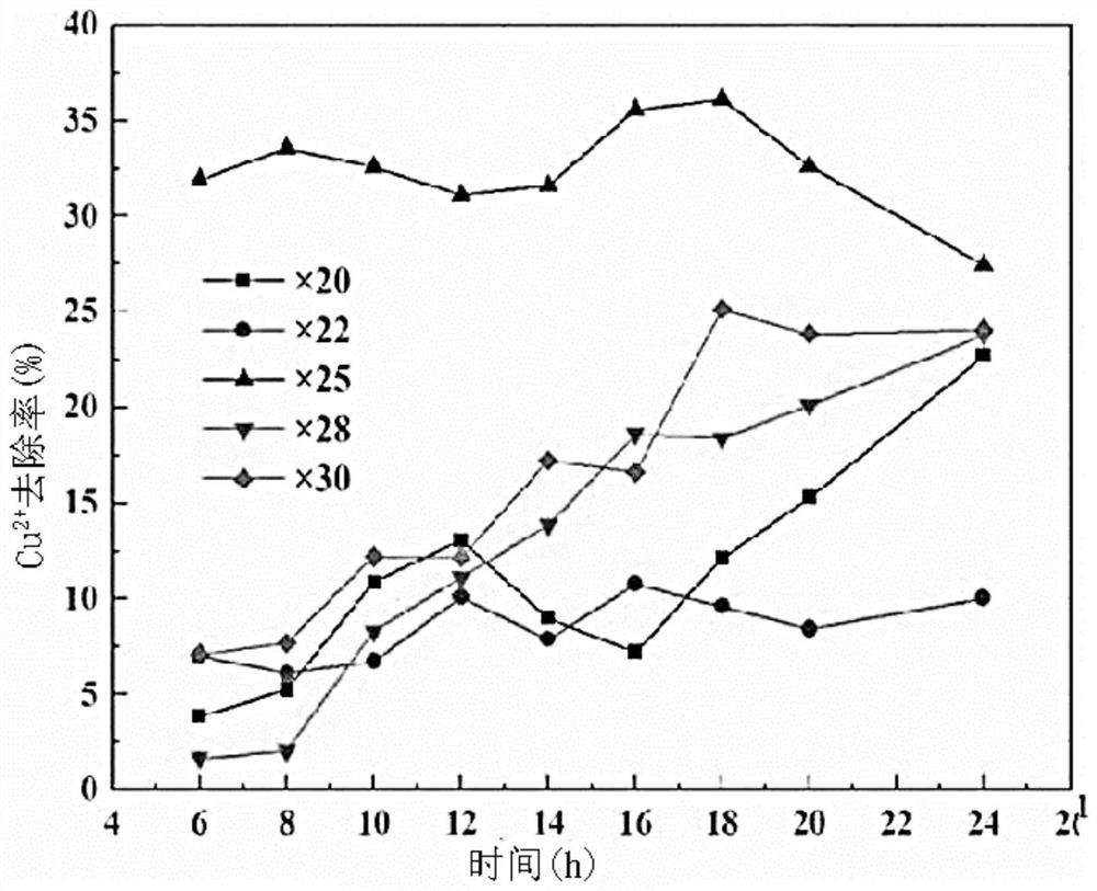 Method for preparing metal-organic framework material HKUST-1 from copper-containing industrial wastewater