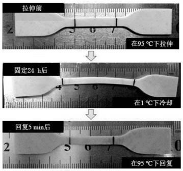 Preparation method for shape memory material based on thermoplastic vulcanized rubber