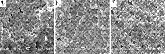 Preparation method of water-absorbing and oil-absorbing bifunctional resin