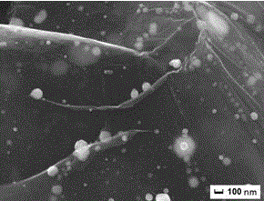 A kind of method for preparing nano-silver-graphene composite film