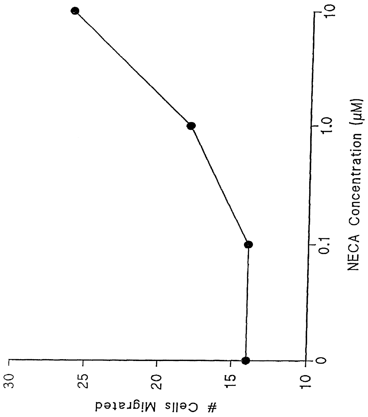 Adenosine receptor agonists for the promotion of wound healing