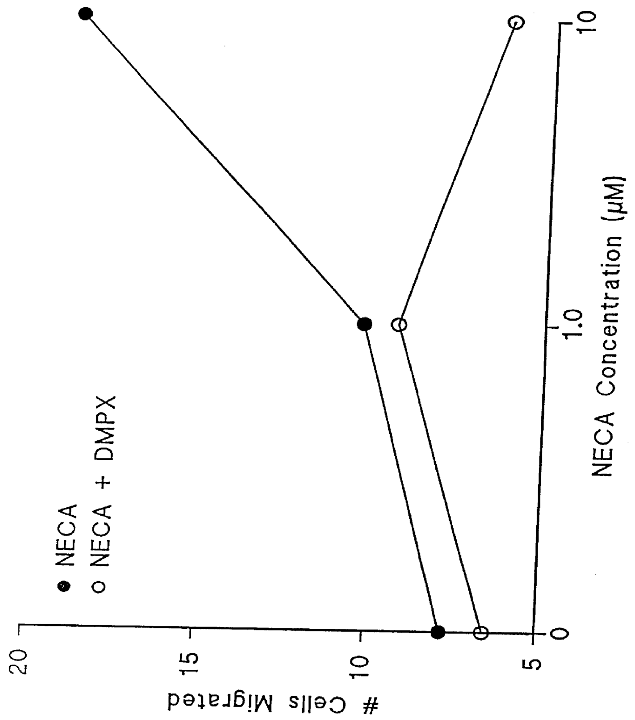 Adenosine receptor agonists for the promotion of wound healing