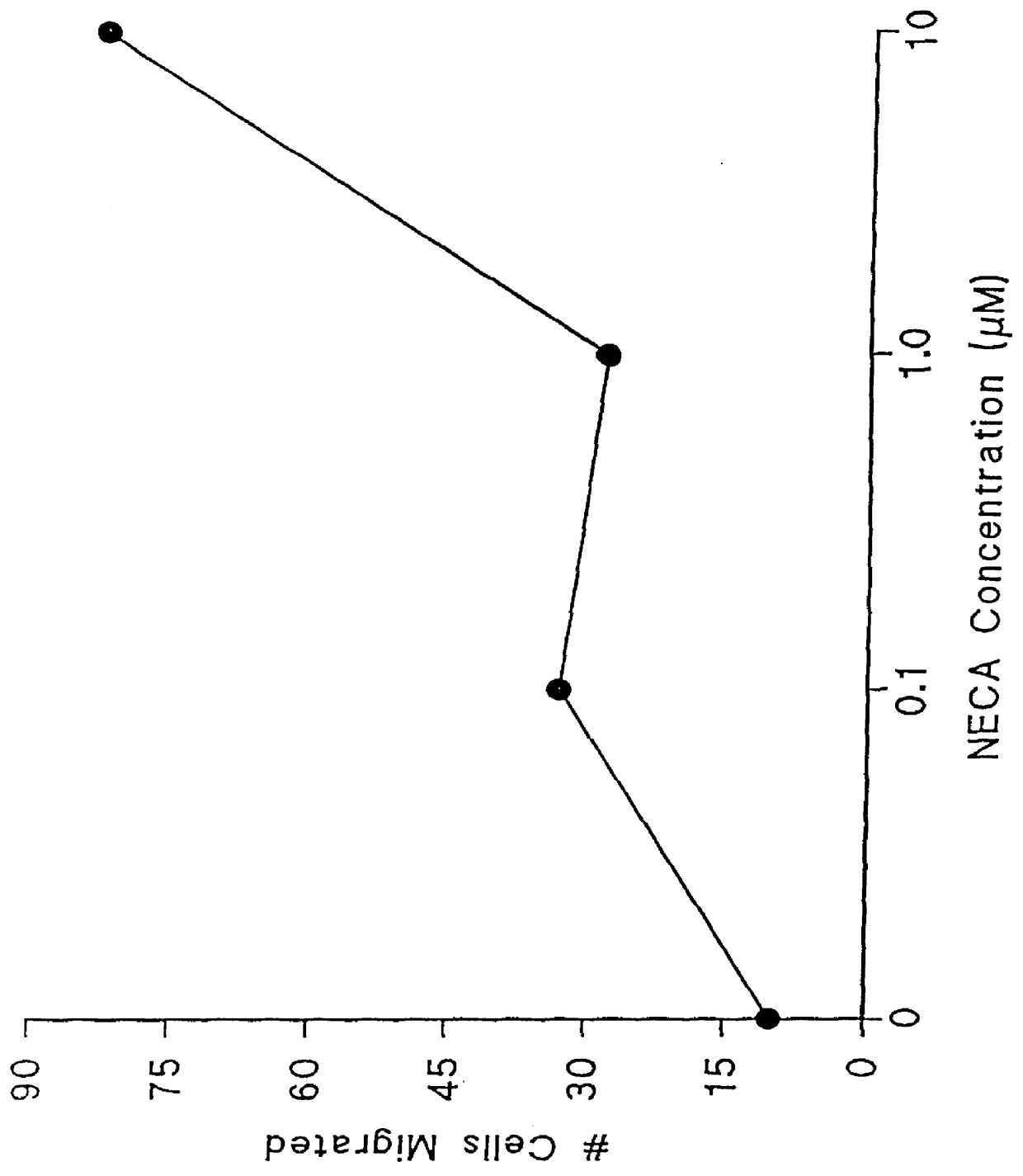 Adenosine receptor agonists for the promotion of wound healing