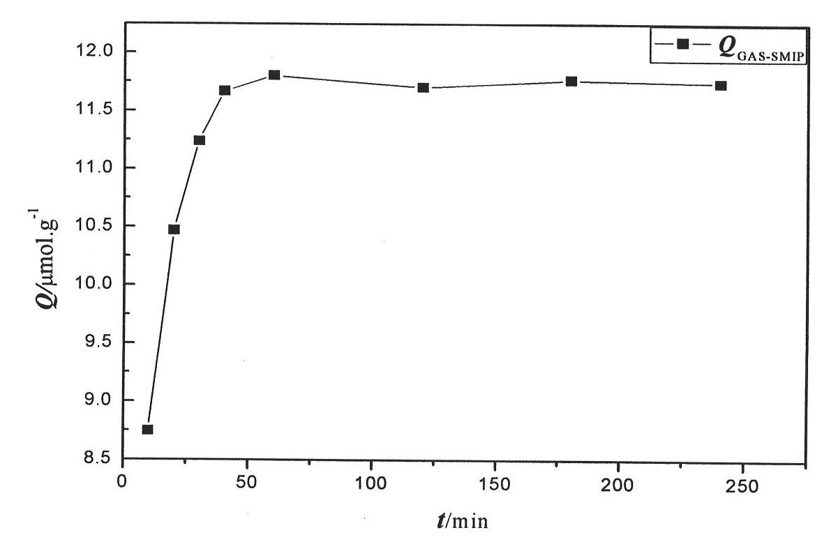 Preparation method of nanometer silicon gel surface gastrodin molecular engram polymers