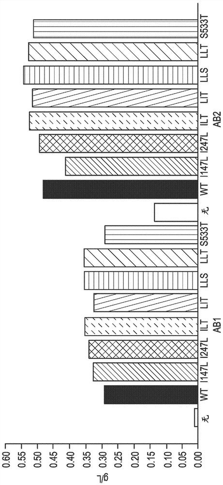 Mutated piggybac transposase