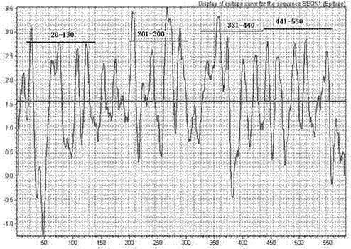 Mumps virus hn antigen and its use in detecting anti-mumps virus antibodies