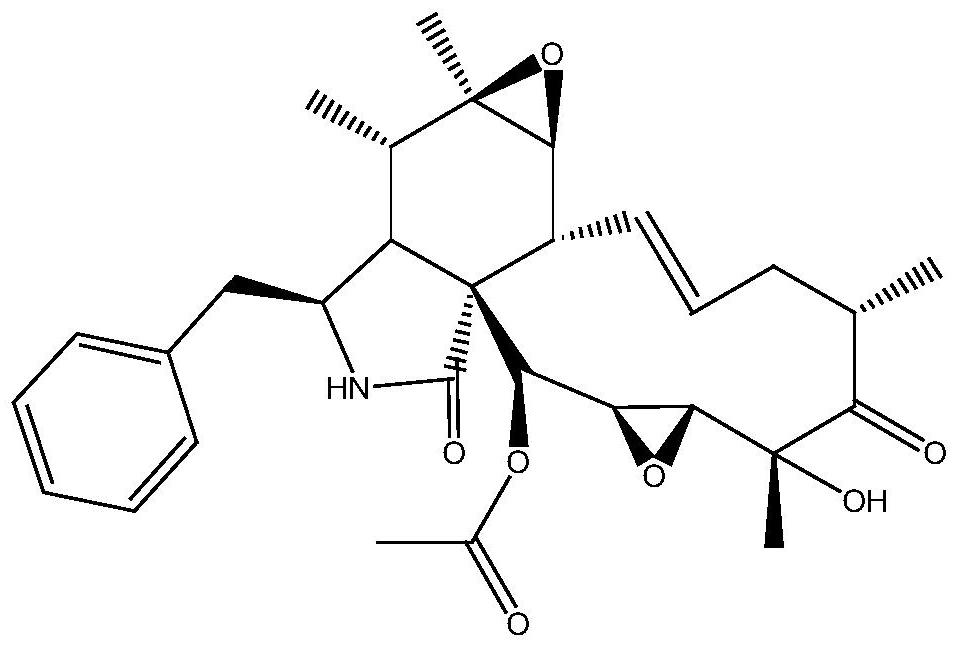 Isolated xylaria sp. and application thereof in preparation of natural herbicides