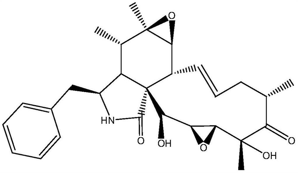 Isolated xylaria sp. and application thereof in preparation of natural herbicides