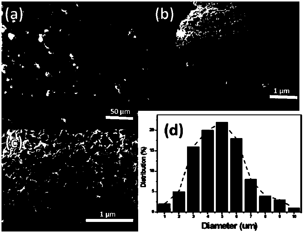 A kind of preparation method of nanocellulose airgel microsphere coated filter paper